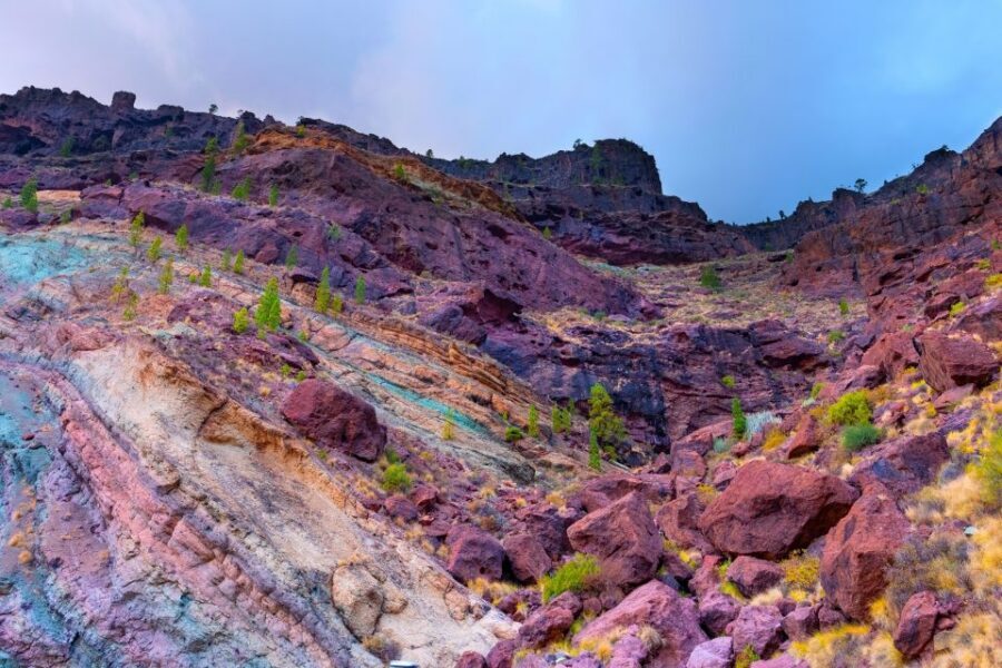 Gran Canaria: Full-Day Island Sightseeing Coach Tour - A Winding-Road Reality Check: You’re in Driver’s Hands
