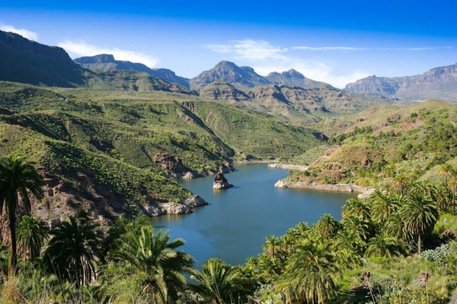 Gran Canaria: Full-Day VIP Tour by Bus - How the VIP Bus Day Works on Gran Canaria