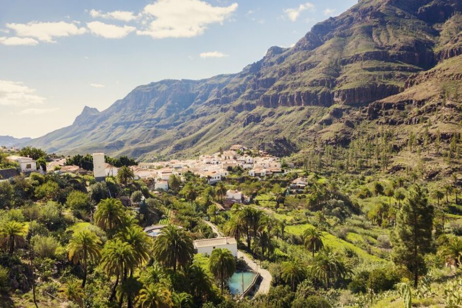 Gran Canaria: Full-Day VIP Tour by Bus - Roque Nublo and the Valley of a Thousand Pine Trees Drive