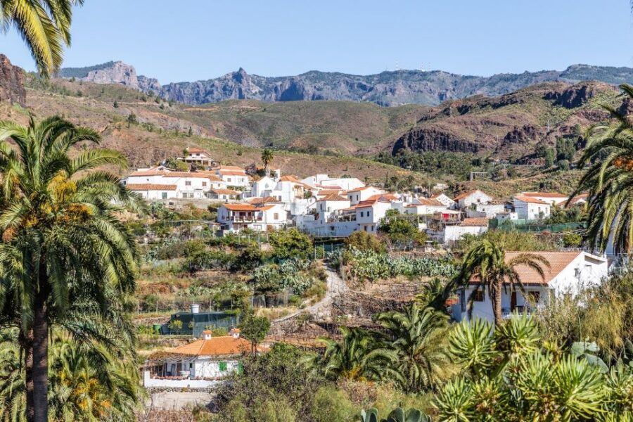 Gran Canaria: Full-Day VIP Tour by Bus - Mountain Forests to Fataga in the Valley of a Thousand Palm Trees