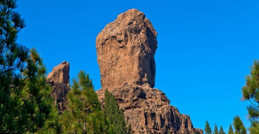 Gran Canaria: Full-Day VIP Tour by Bus - Lunch Options at the Mountain Restaurant Stop