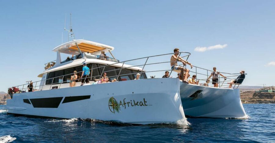 Gran Canaria: Fun Catamaran Cruise with Food and Drinks - Key Things I’d Remember Before You Go