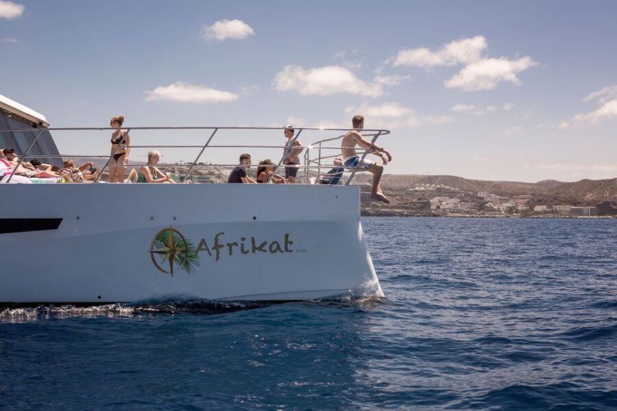 Gran Canaria: Fun Catamaran Cruise with Food and Drinks - Timing, Pace, and Comfort: What the 4.5 Hours Really Means