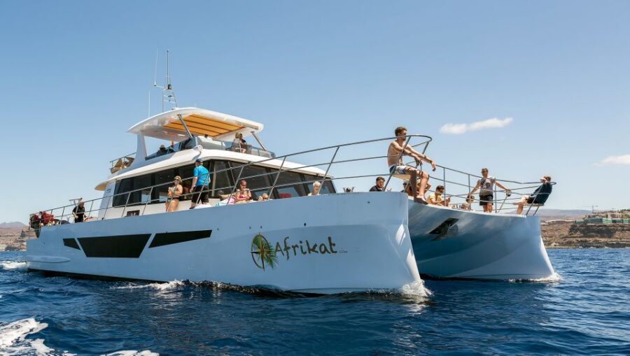 Gran Canaria: Fun Catamaran Cruise with Food and Drinks - Why This Afrikat Catamaran Feels Better Than a Standard Boat Trip