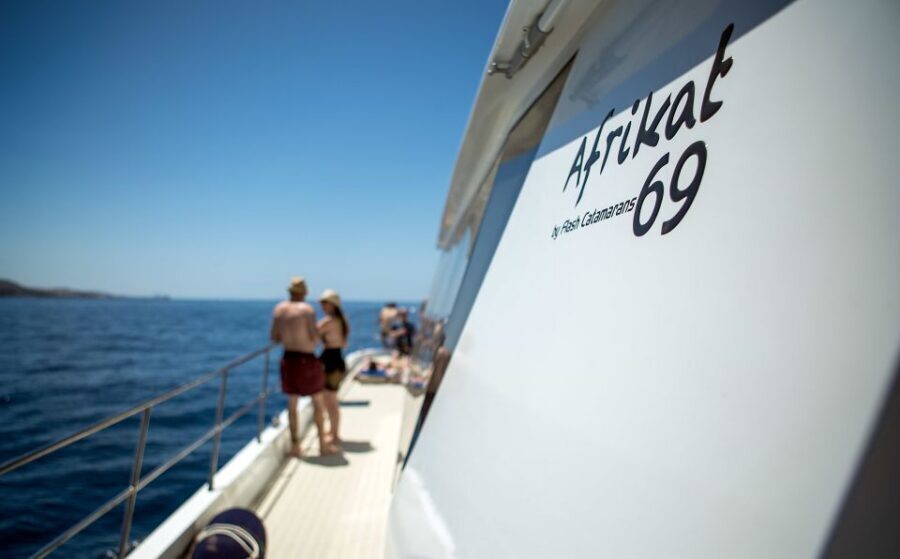 Gran Canaria: Fun Catamaran Cruise with Food and Drinks - The Mogán Water Stop: Your Real Reason for Booking