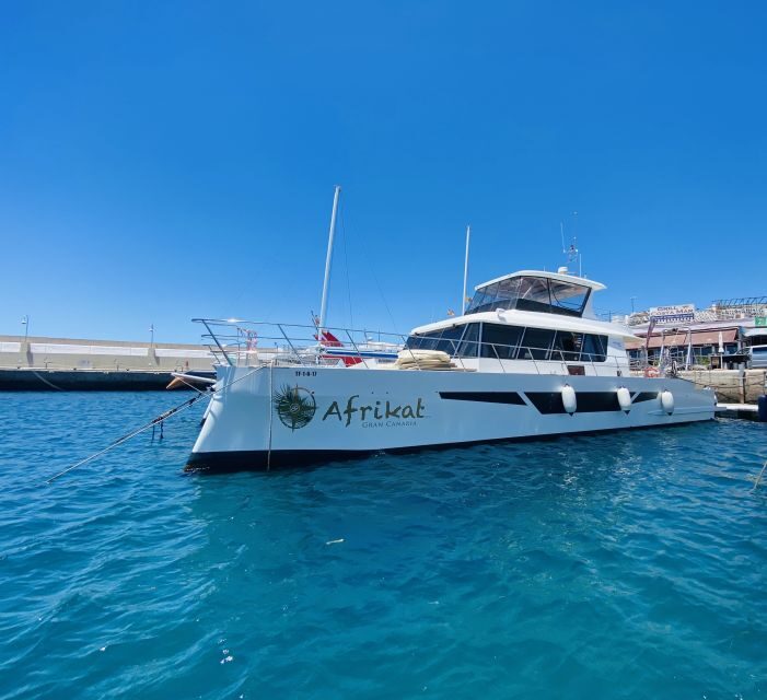 Gran Canaria: Fun Catamaran Cruise with Food and Drinks - Lunch on Board: Simple, Filling, and Not Annoyingly Complicated