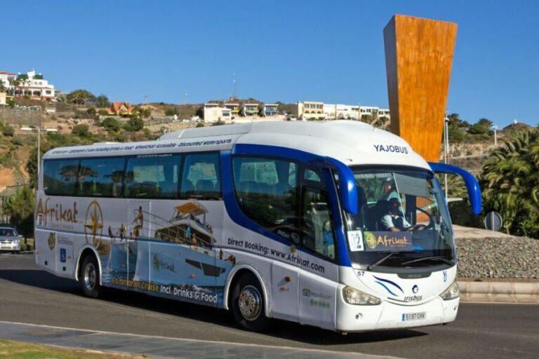 Gran Canaria: Fun Catamaran Cruise with Food and Drinks - Transfers From South Gran Canaria: The Make-or-Break Detail