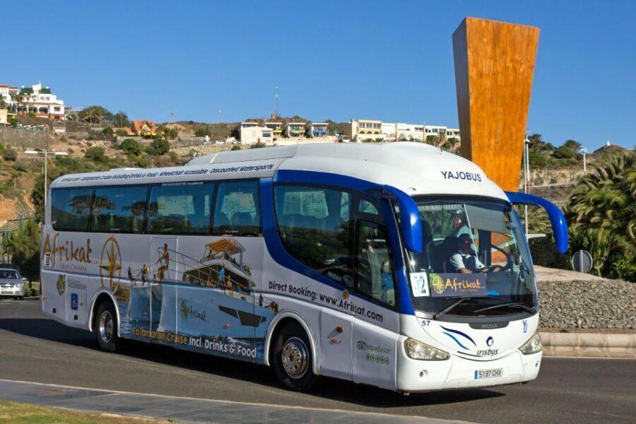 Gran Canaria: Fun Catamaran Cruise with Food and Drinks - Transfers From South Gran Canaria: The Make-or-Break Detail