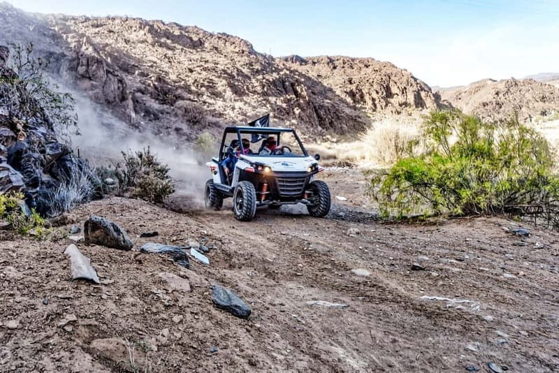 Gran Canaria Guided Buggy Tour - Key Things You Should Know Before You Go