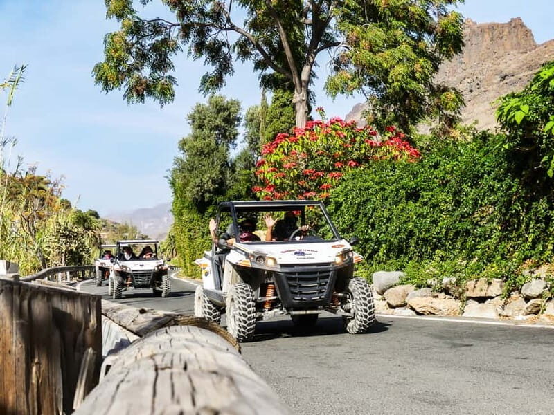 Gran Canaria Guided Buggy Tour - Guides, Energy, and the Small-Group Advantage