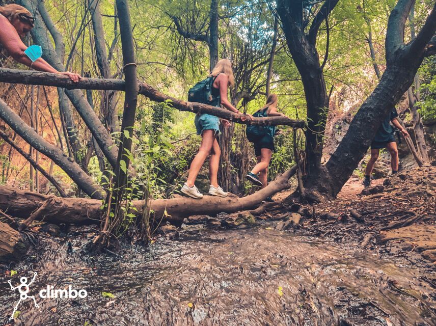 Gran Canaria: Guided Day Tour to Rainforest with Tasting - Stream crossings and balancing spots: comfort tips that matter