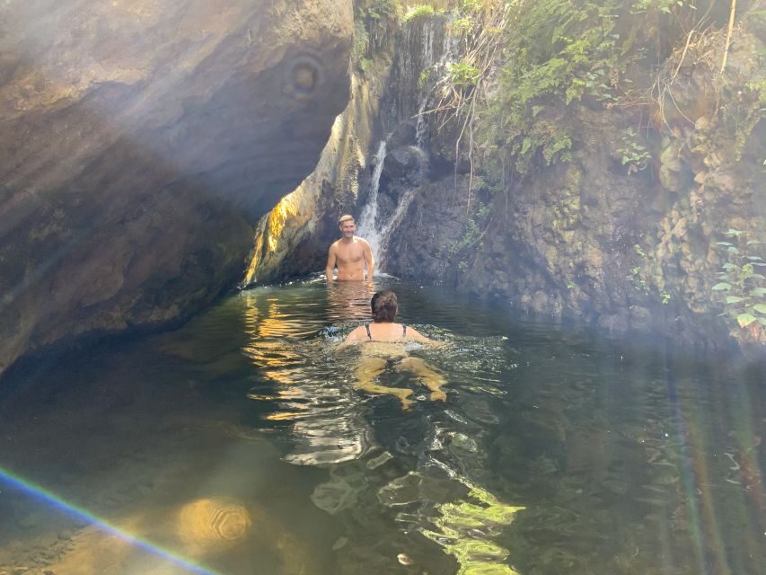 Gran Canaria: Guided Day Tour to Rainforest with Tasting - Ecofinca Ventana Verde: sustainable farming that turns lunch into a lesson