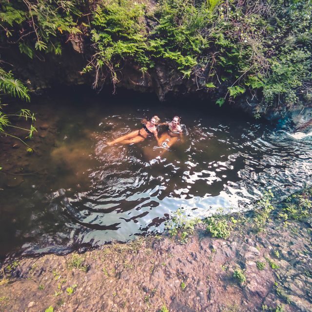 Gran Canaria: Guided Day Tour to Rainforest with Tasting - El Puertillo natural pools: swimming where the ocean is close