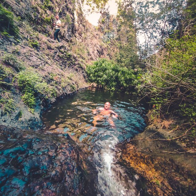 Gran Canaria: Guided Day Tour to Rainforest with Tasting - Price and value: why $105 can feel fair for this much day