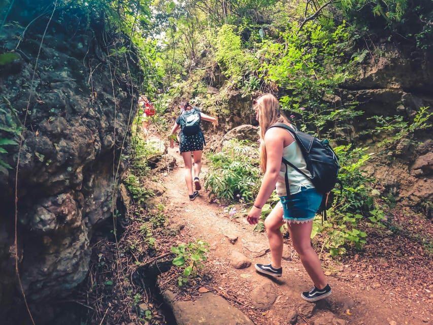 Gran Canaria: Guided Day Tour to Rainforest with Tasting - Azuaje Ravine rainforest hike: the part you’ll remember