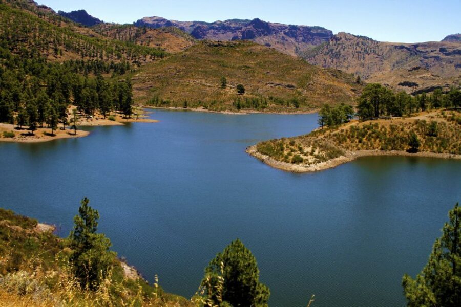 Gran Canaria Highlights Full-Day Tour by Bus - Value and pacing: what $51 buys in real time