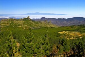 Gran Canaria Highlights Full-Day Tour by Bus - Pickup rules outside Las Palmas (and why Parque Tropical is the make-or-break)
