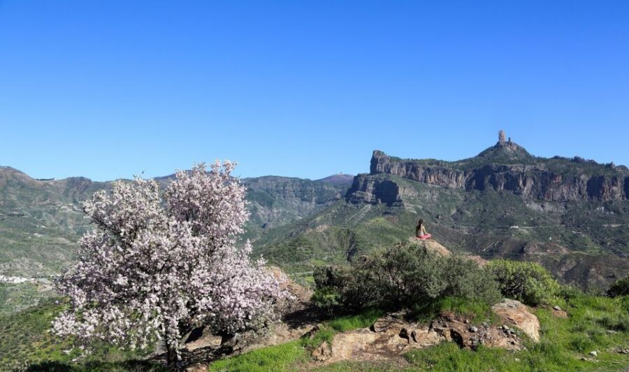 Gran Canaria Highlights Full-Day Tour by Bus - Valleseco lunch: views, value, and the one place you can actually slow down