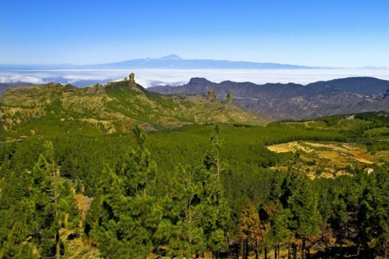 Gran Canaria Highlights Full-Day Tour by Bus - Pickup rules outside Las Palmas (and why Parque Tropical is the make-or-break)
