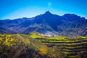 Gran Canaria highlights & hidden gems with local guide Sky Rebels - Price and value: lunch, drinks, and time at viewpoints