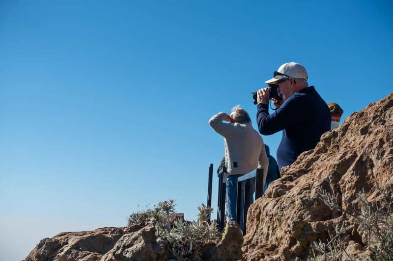 Gran Canaria: Island Highlights Tour with Optional Lunch - A day built around views you can’t get from a main-road bus