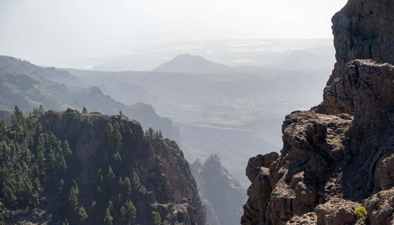 Gran Canaria: Island Highlights Tour with Optional Lunch - Aloe Vera Finca Canarias: more than a quick shop stop