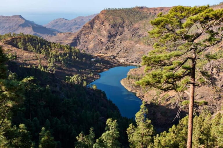 Gran Canaria: Island Highlights Tour with Optional Lunch - Pickup from Maspalomas, then straight into mountain driving
