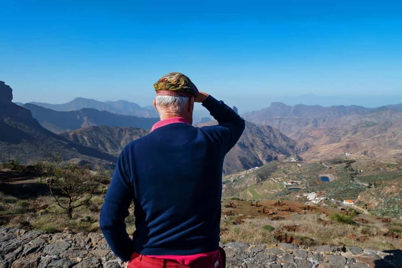 Gran Canaria: Island Highlights Tour with Optional Lunch - Price and value: what $79 covers, and what you’re paying for