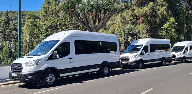 Gran Canaria: Island Highlights Tour with Optional Lunch - How to plan your day so you don’t feel rushed