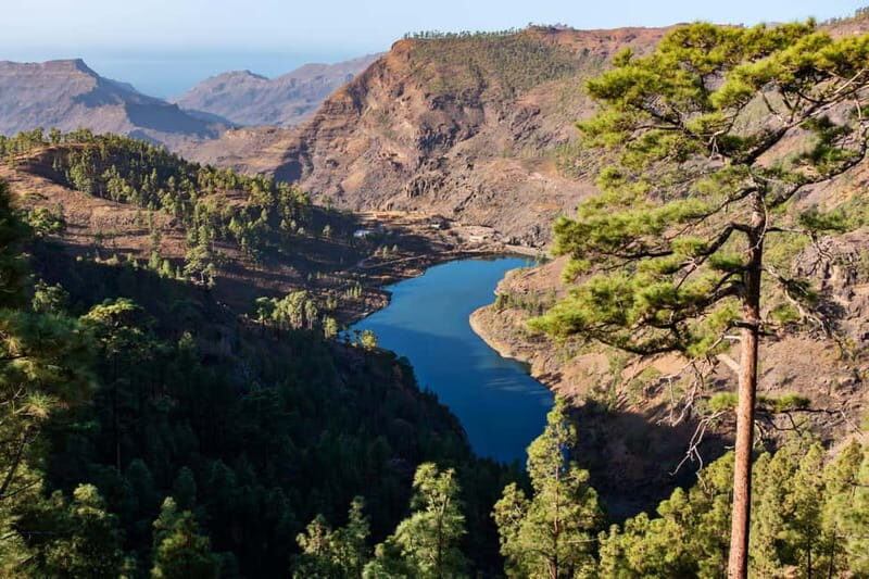 Gran Canaria: Island Highlights Tour with Optional Lunch - Pickup from Maspalomas, then straight into mountain driving
