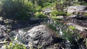 Gran Canaria: "Magic Waterfalls" Hiking Tour - Trail basics: 7 km, 240 m up/down, and the reality of medium effort