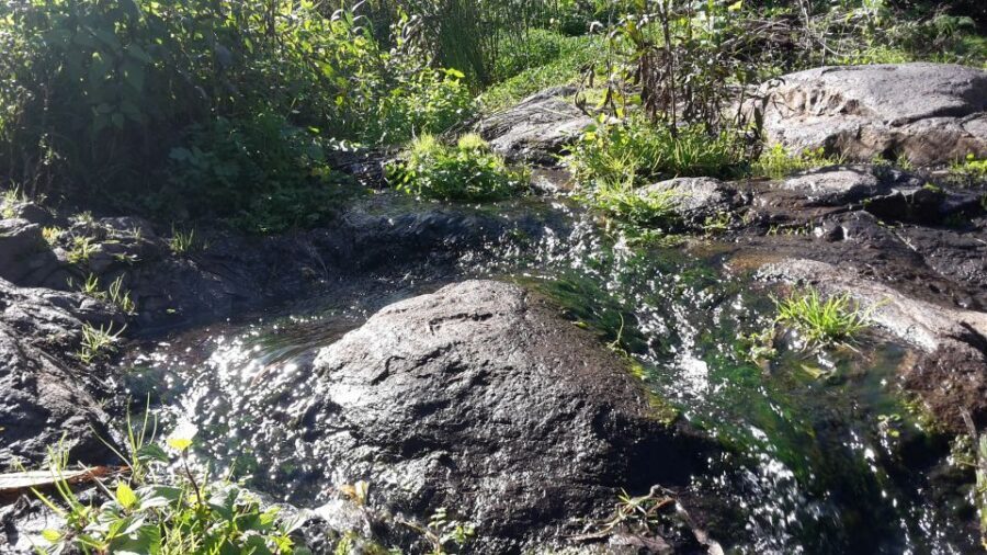 Gran Canaria: "Magic Waterfalls" Hiking Tour - Trail basics: 7 km, 240 m up/down, and the reality of medium effort