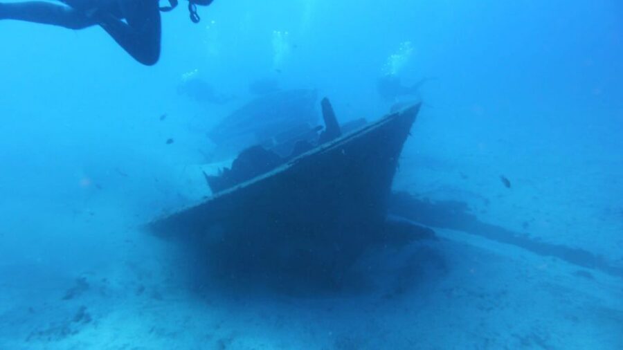 Gran Canaria: Morning Scuba Dive - Key highlights you’ll care about