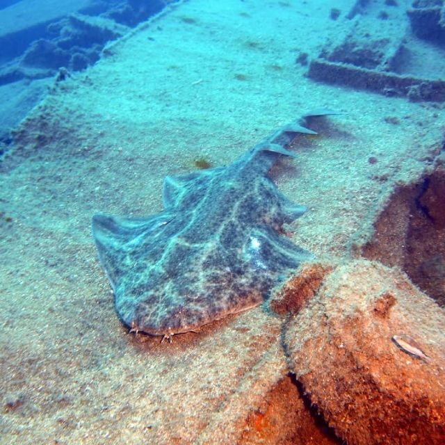 Gran Canaria: Morning Scuba Dive - Check-in at Blue Water Diving: how the morning starts