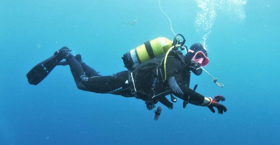 Gran Canaria: Morning Scuba Dive - Your underwater plan: what changes with certification
