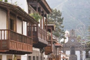 Gran Canaria North Tour Canarian Landscapes - Pickup and Getting to the Right Place on Time
