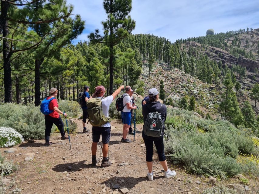 Gran Canaria: "Peaks of Gran Canaria" Hiking Tour - Key Things That Make This Hike Worth Your Time