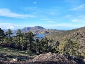 Gran Canaria: "Peaks of Gran Canaria" Hiking Tour - The High Points You’re Walking Toward (Even When Weather Changes)