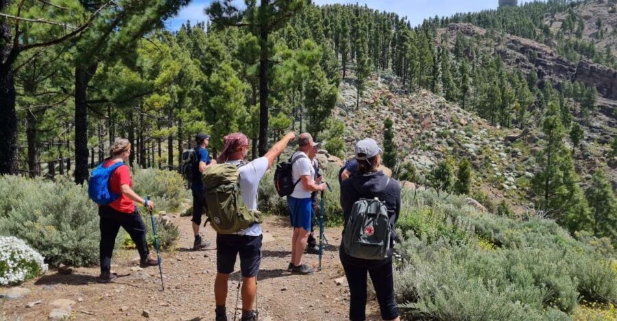 Gran Canaria: "Peaks of Gran Canaria" Hiking Tour - Route Math: 10km Monday vs 7km Sunday/Wednesday