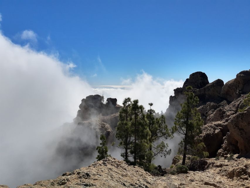 Gran Canaria: "Peaks of Gran Canaria" Hiking Tour - What the Guide Actually Does for Your Day (Maciej’s Style)