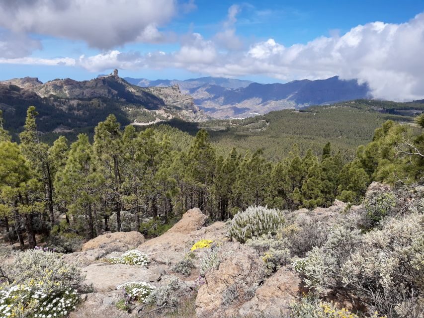 Gran Canaria: "Peaks of Gran Canaria" Hiking Tour - Lunch at the Local Restaurant: Regional Food, Real Portions