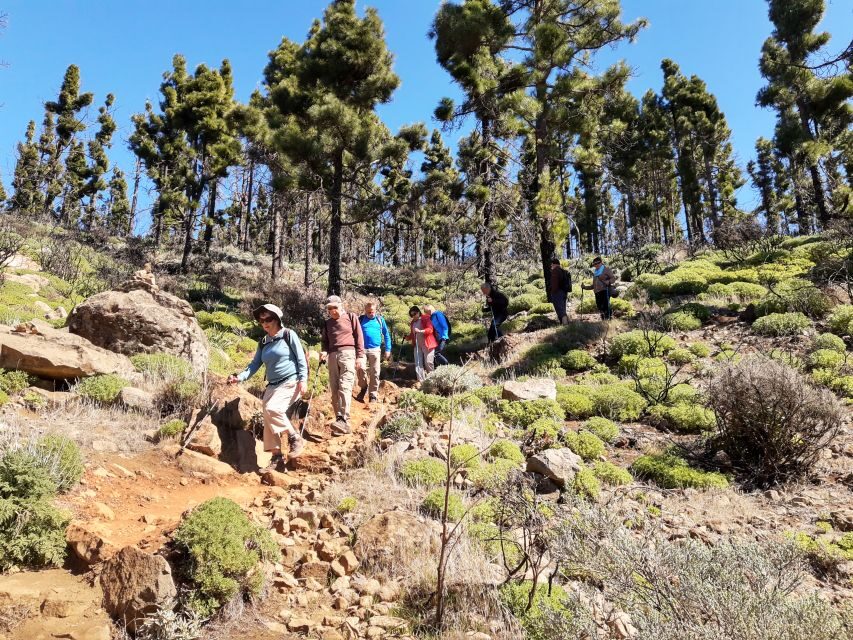 Gran Canaria: "Peaks of Gran Canaria" Hiking Tour - What to Bring (and What People Regret Forgetting)