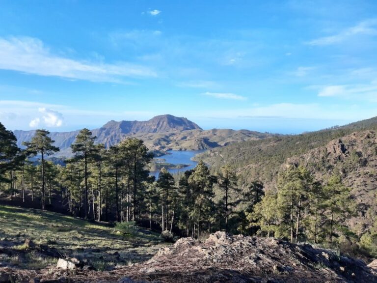 Gran Canaria: "Peaks of Gran Canaria" Hiking Tour - The High Points You’re Walking Toward (Even When Weather Changes)