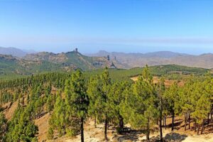 Gran Canaria Premium Tour: Volcanoes and Wine for cruisers - The 9:00am day plan: what to expect from the 5–7 hours