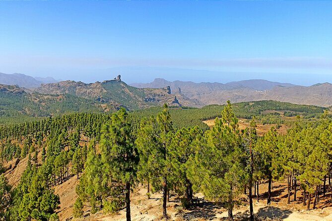 Gran Canaria Premium Tour: Volcanoes and Wine for cruisers - The 9:00am day plan: what to expect from the 5–7 hours
