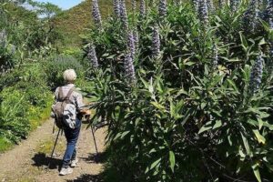 Gran Canaria private walks - How a 7-hour private walk actually feels in real time