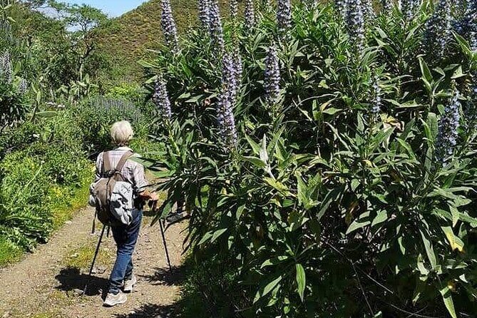 Gran Canaria private walks - How a 7-hour private walk actually feels in real time