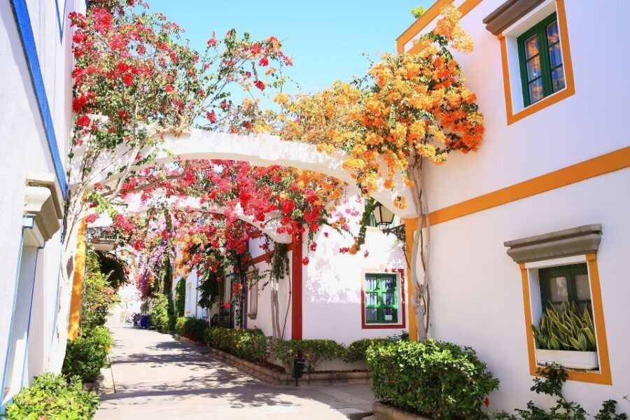 Gran Canaria: Puerto de Mogán Local Market Day Trip - The short stop in Puerto Rico: a quick reset