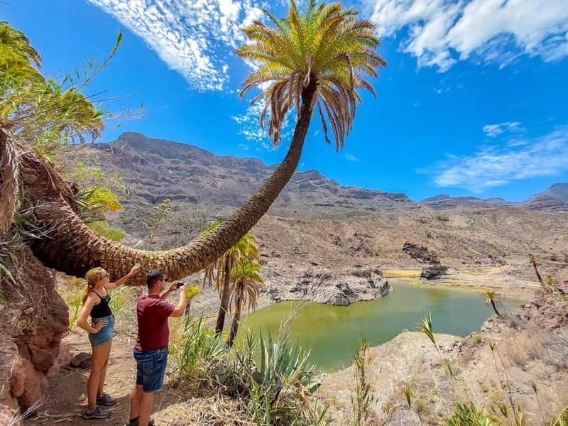 Gran Canaria: Red Gorge, Cave, Oasis Adventure Tour & Picnic - How the tour flows from pickup to the first walking stops
