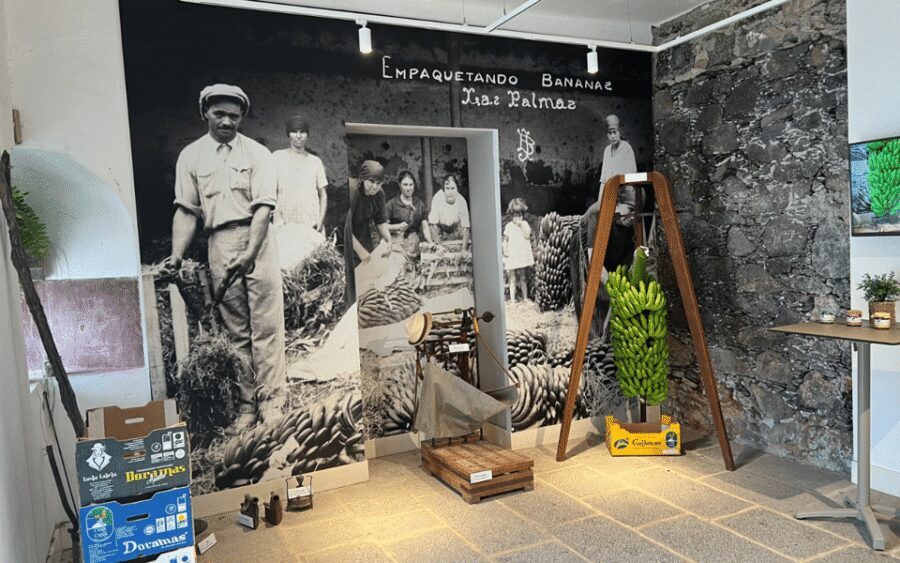 Gran Canaria: Rum, Wines and Banana Tour - Mojo Canario Workshop: The Sauce You’ll Actually Remember